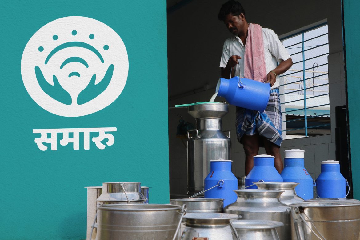 Samaaru dairy farmer at milk collection point
